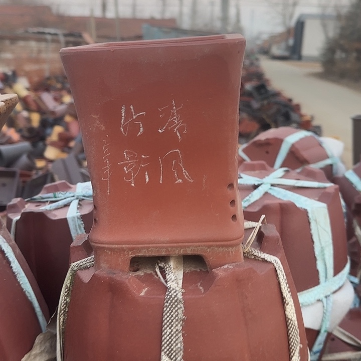 在这里我们一起努这就是一部很好看