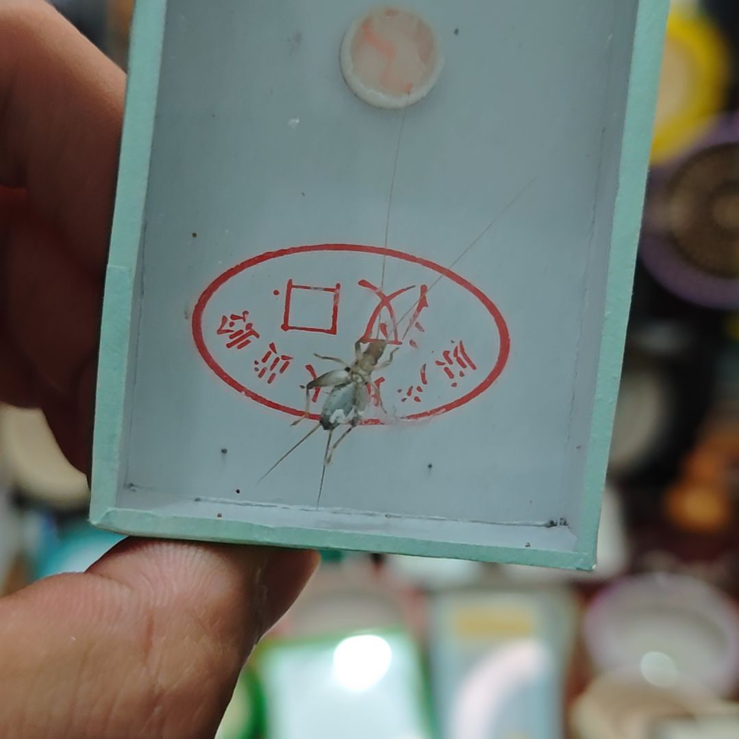 扬***江水墨仙子全品扬子江