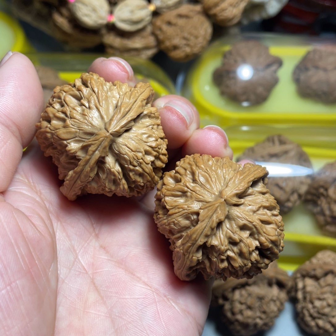 核桃手串/手链精品白狮子41加