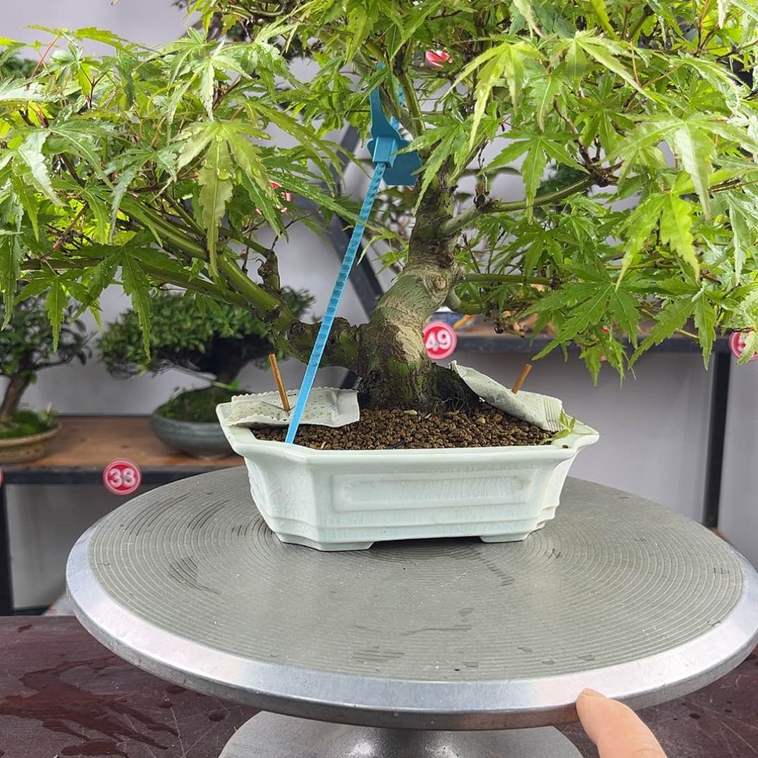 天***黑34445543444