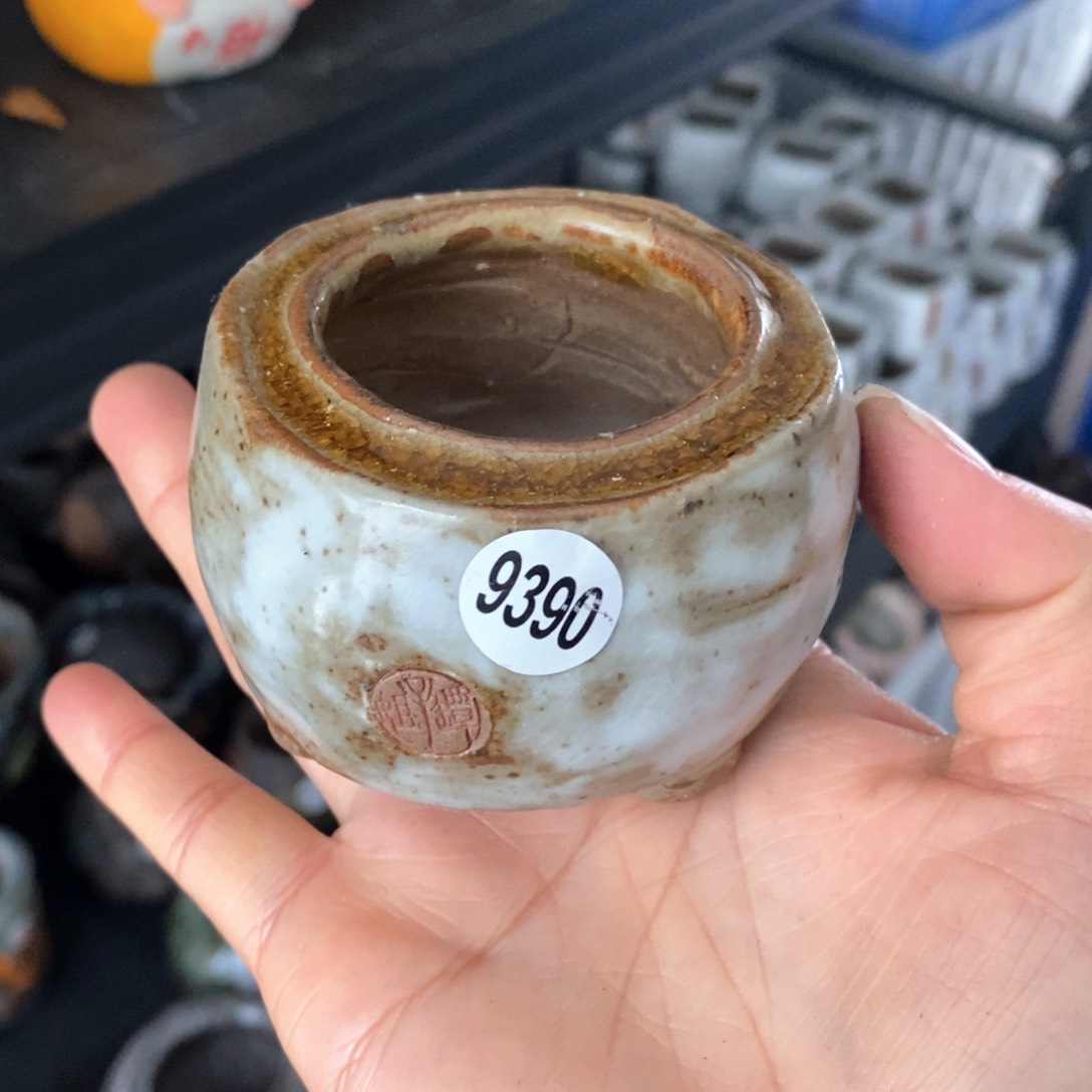 花盆双12特价活动不退不换原价28