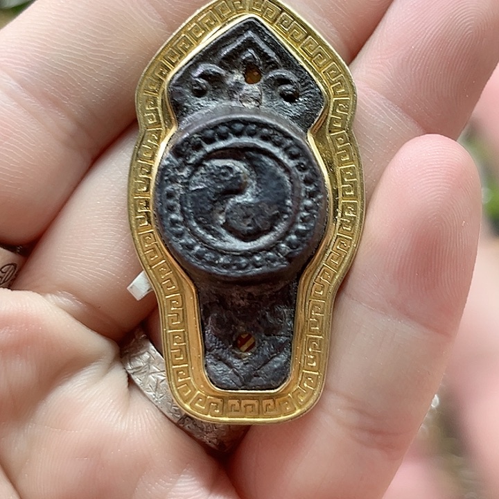 西**仔好看的好看好看好看的好看的