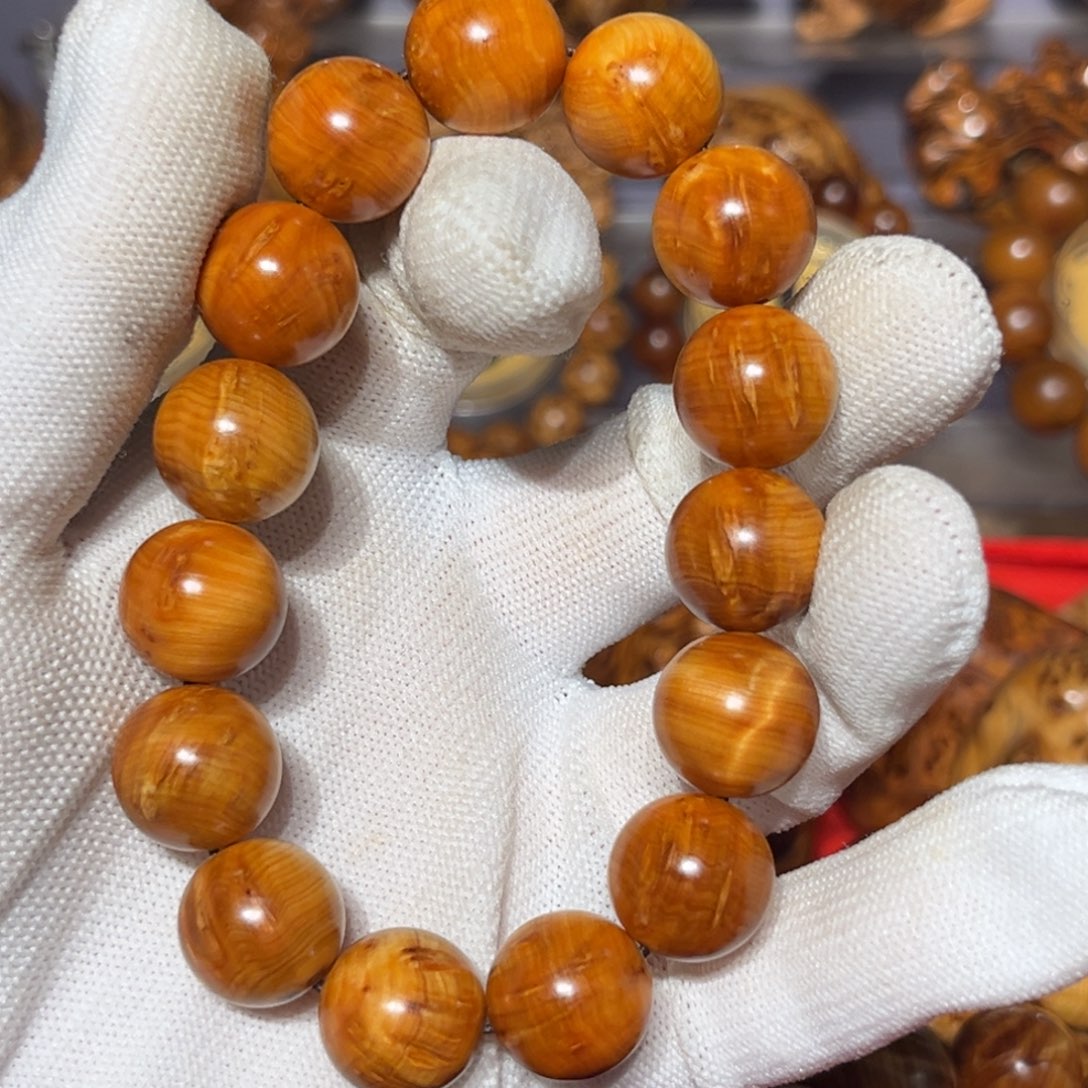 柏木太喜欢这个了