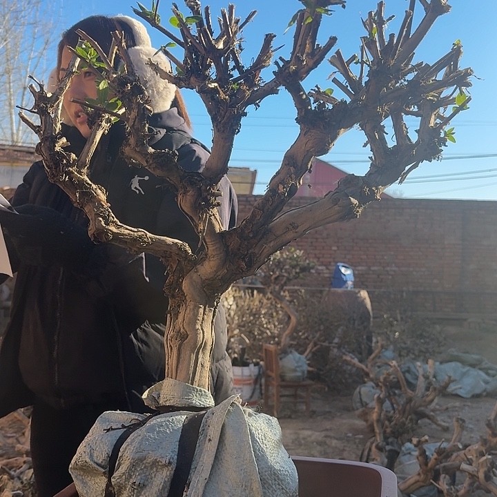 完全开放111111111111