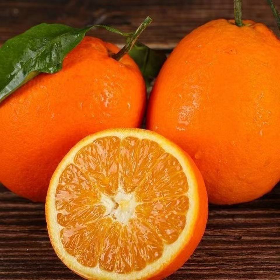 正宗江西赣南脐橙新鲜采摘