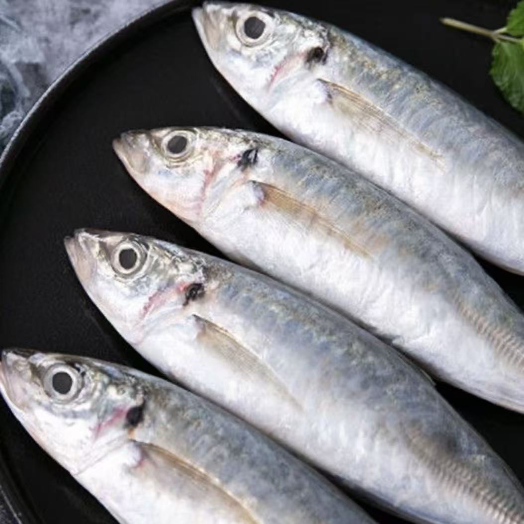 《达人专属》谢记海产品巴浪鱼