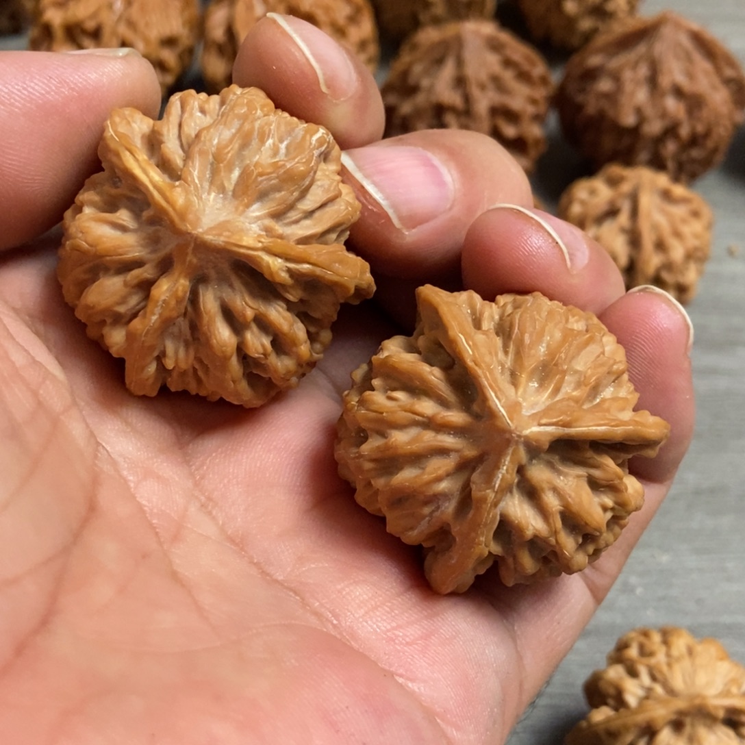 文玩核桃把件三棱有修37尺