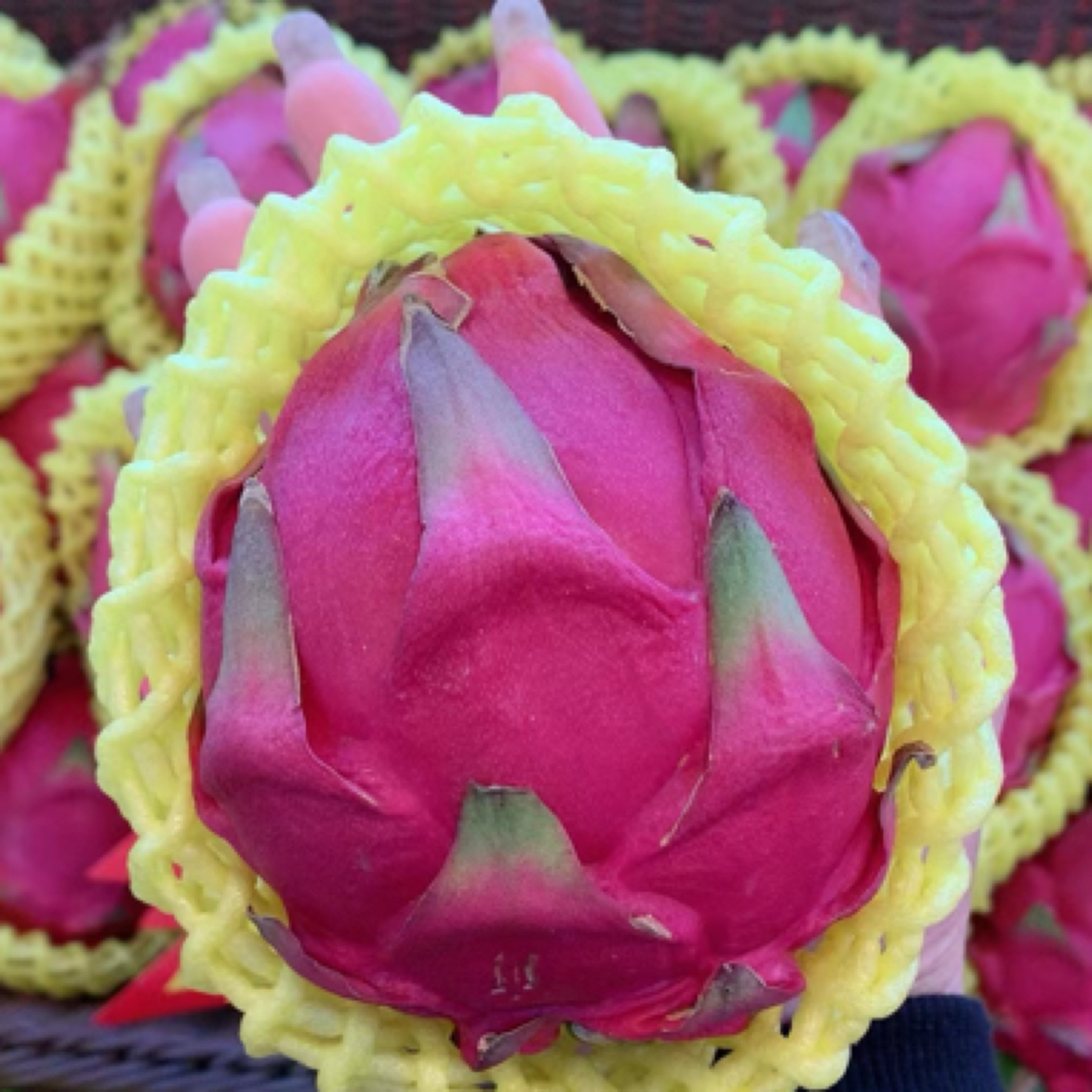 海南红心火龙果一个约一斤