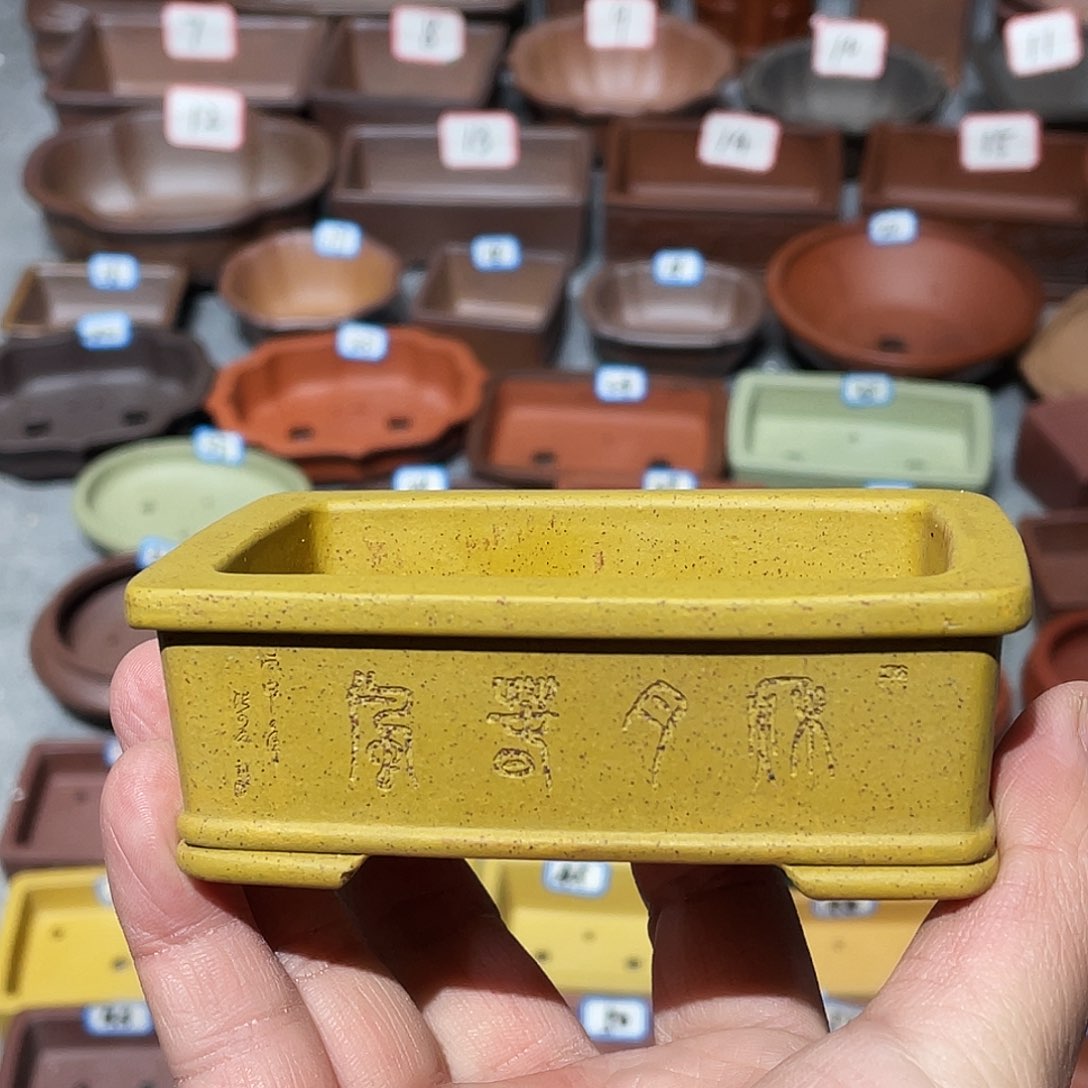 紫砂紫砂小盆8.5*5*2.5