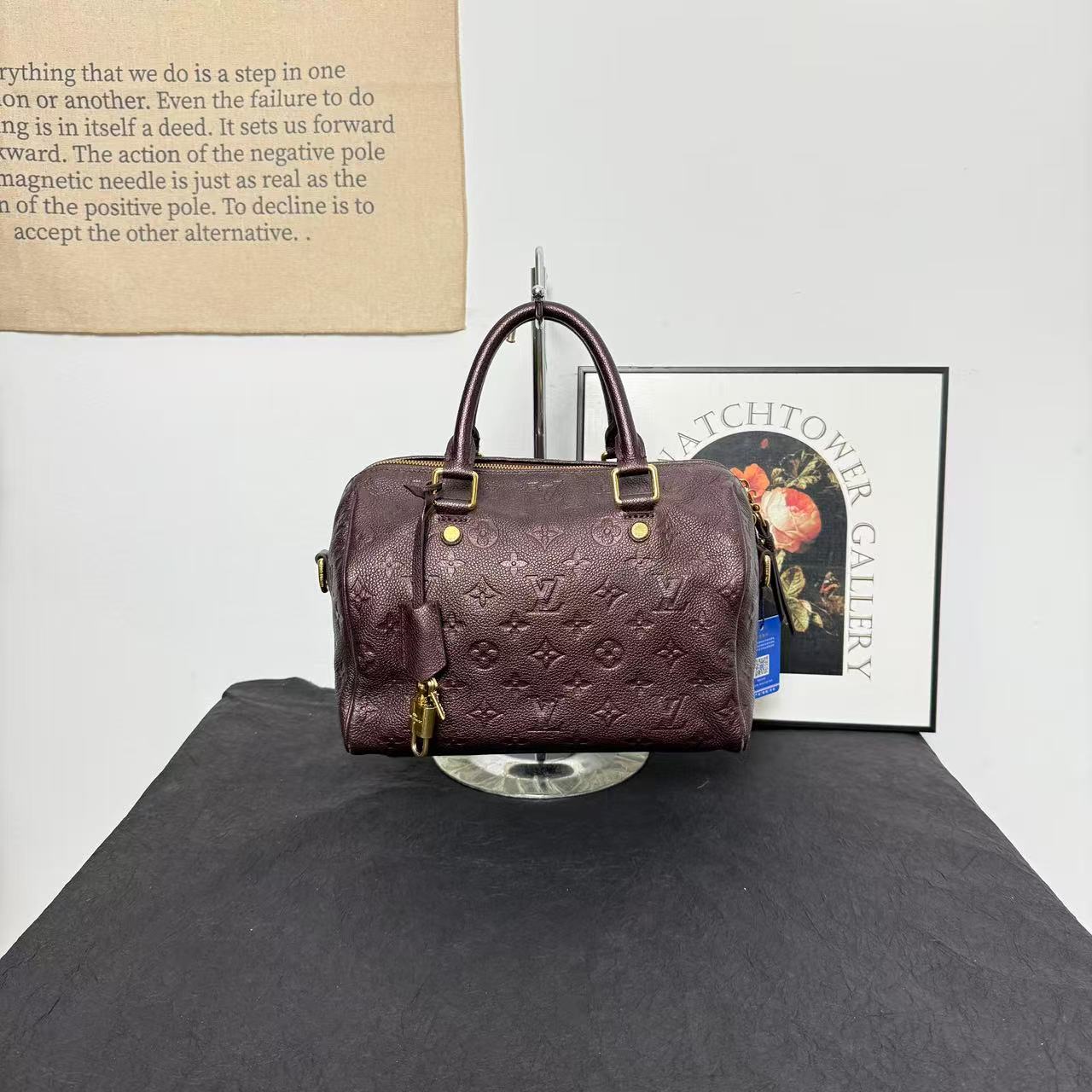 95新 LouisVuitton/路易威登 LV全皮speedy25/斜跨单肩包/手提包
