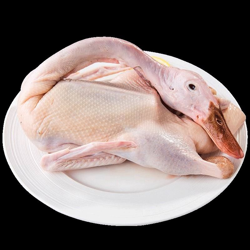 新鲜光鸭约750-800g
