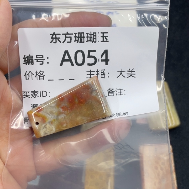 剁***ᵐ硅化珊瑚（珊瑚玉）合金颈饰