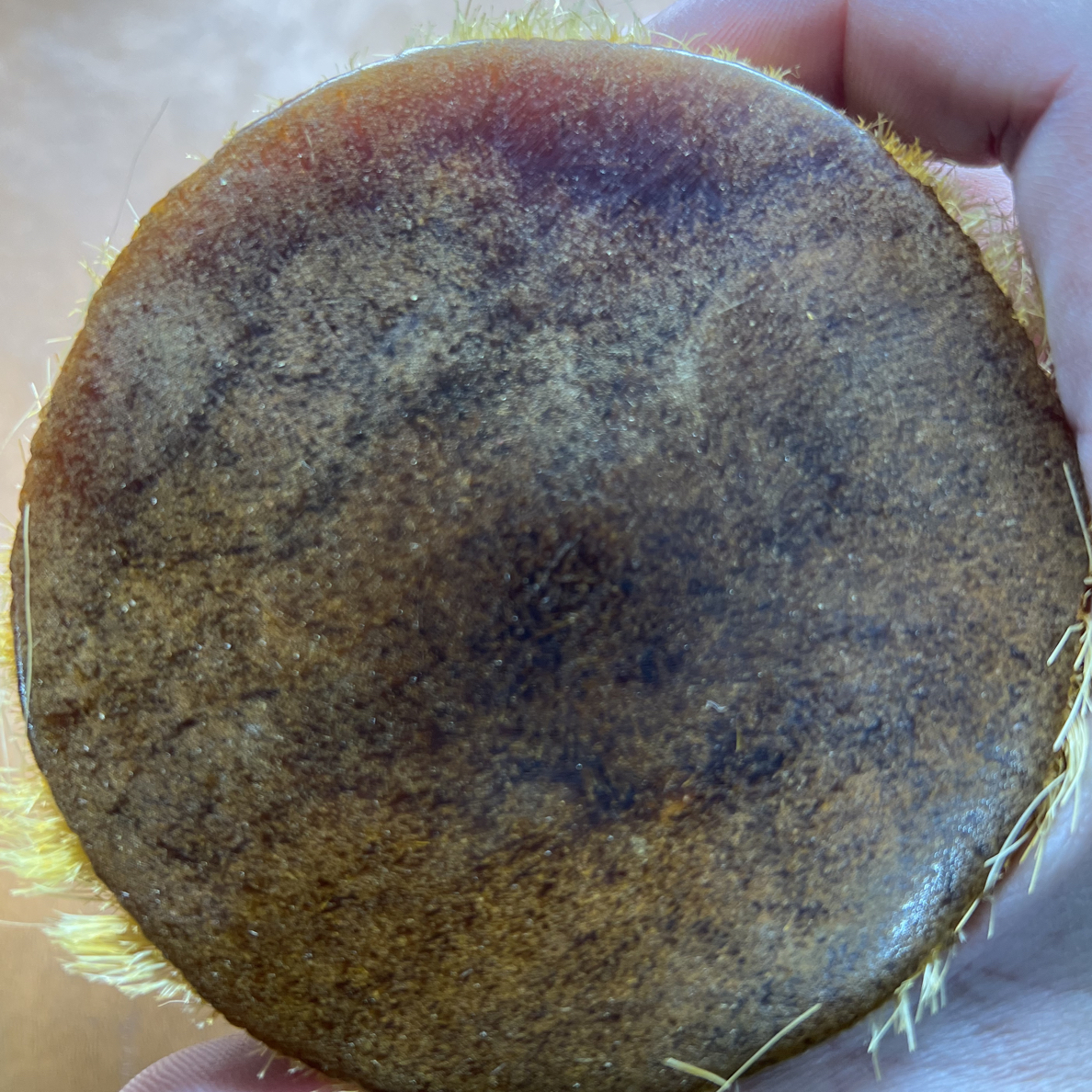 非金属树脂工艺品摆件604