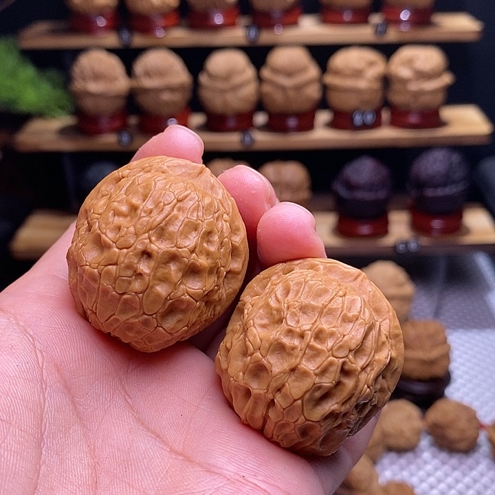 文玩核桃把件金龟子18