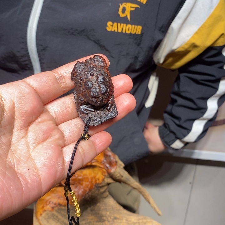 中***海香榧木呱呱来财         