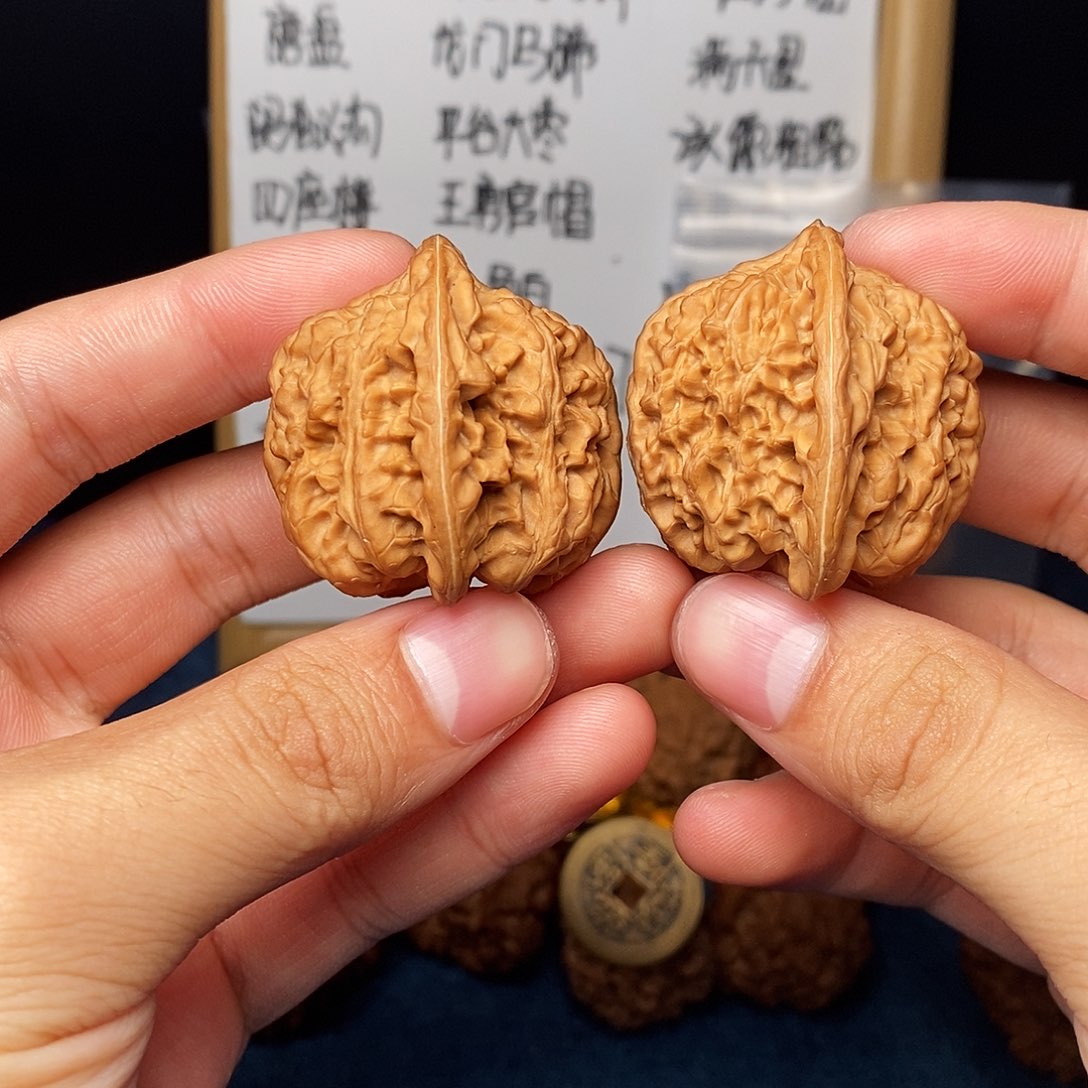 文玩核桃手串龟甲大蟾王