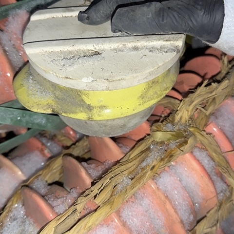 瓷片国营厂库存12厘米