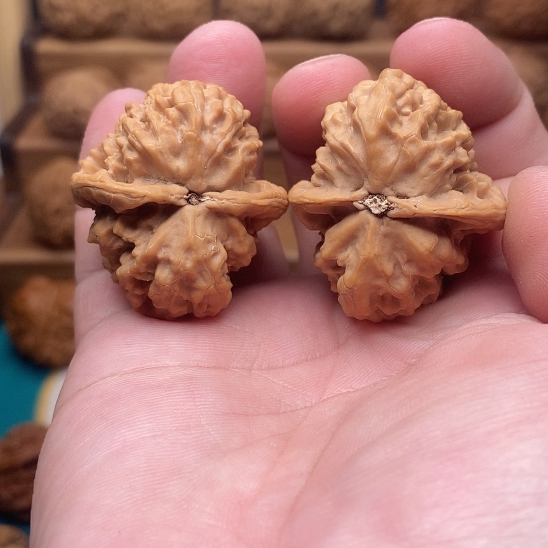 文玩核桃把件山果子