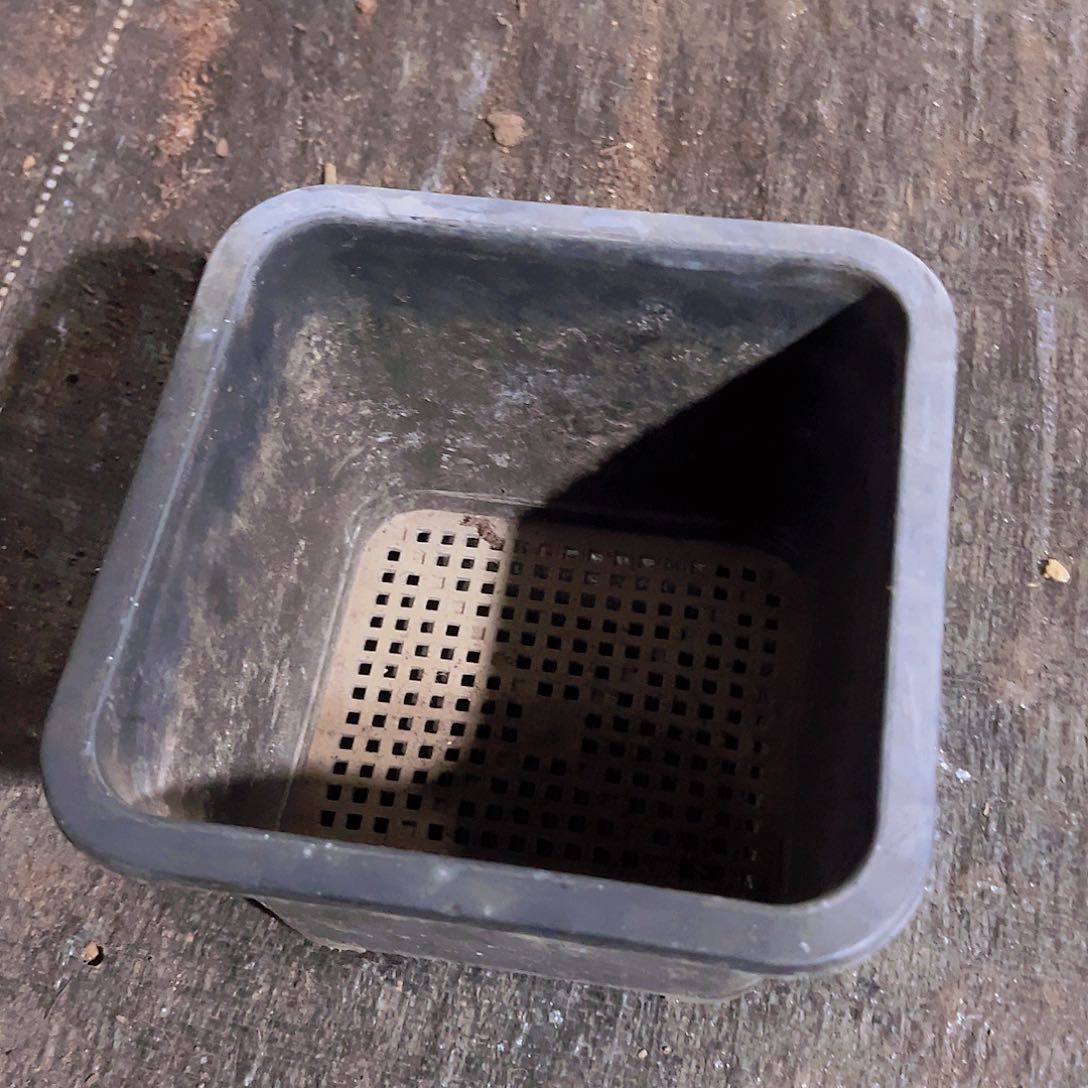 塑料方盆180黑色17.5口径 10个