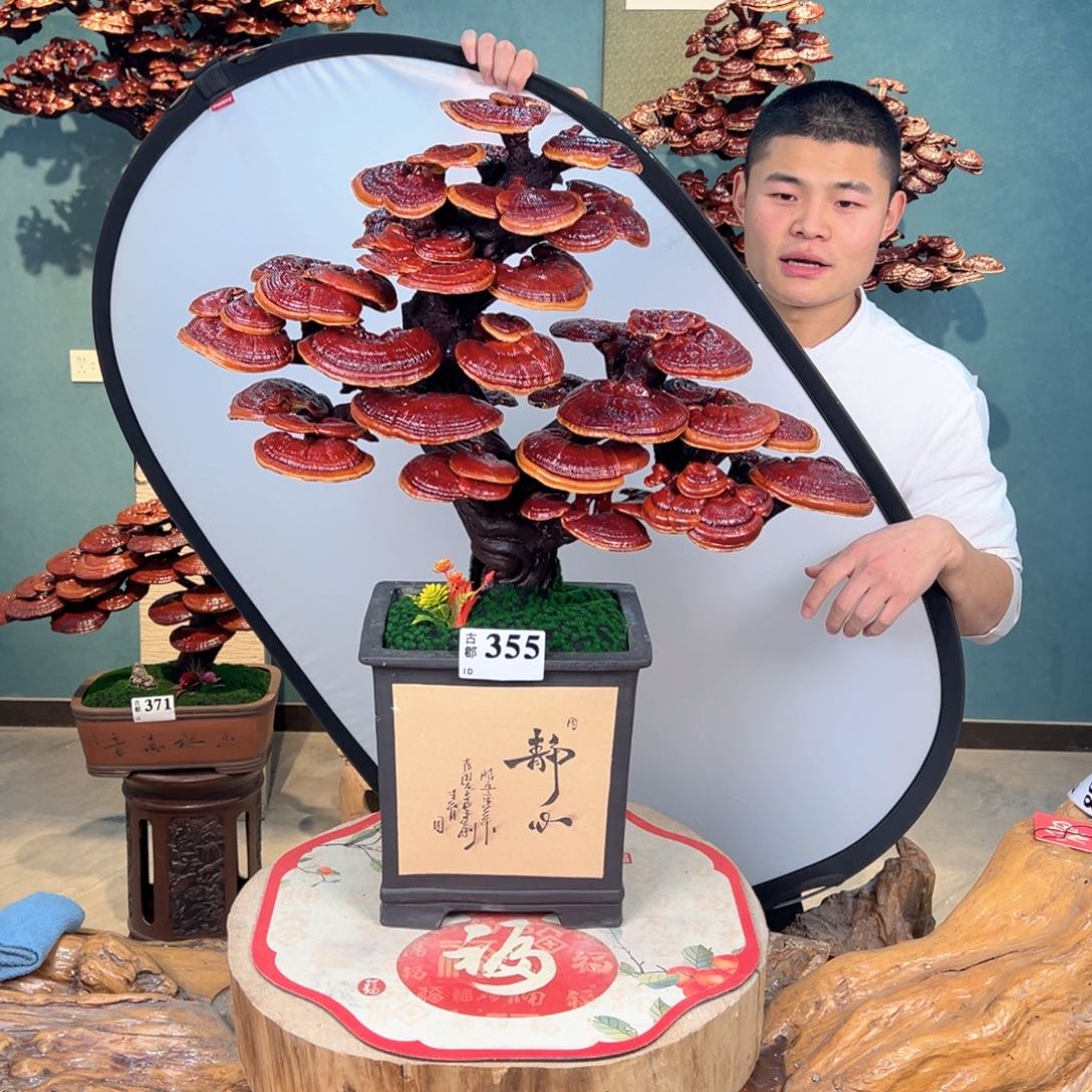 无花朵888888888888