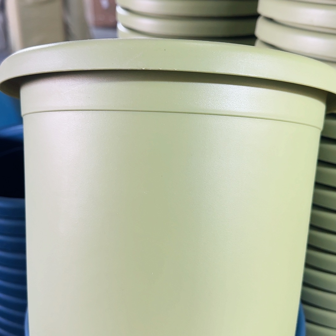 树脂四季4#无拖果绿10个