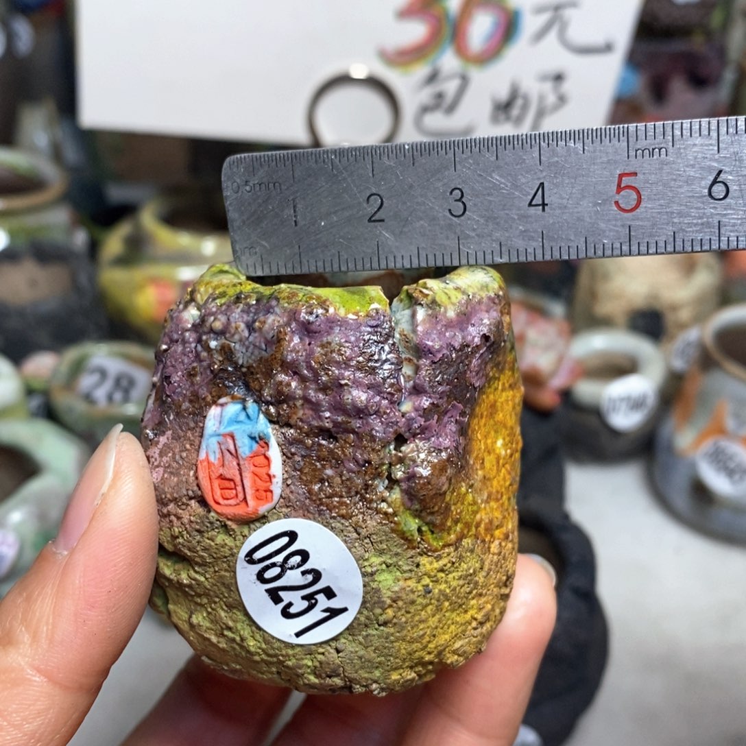 花盆拍3送一个小礼物