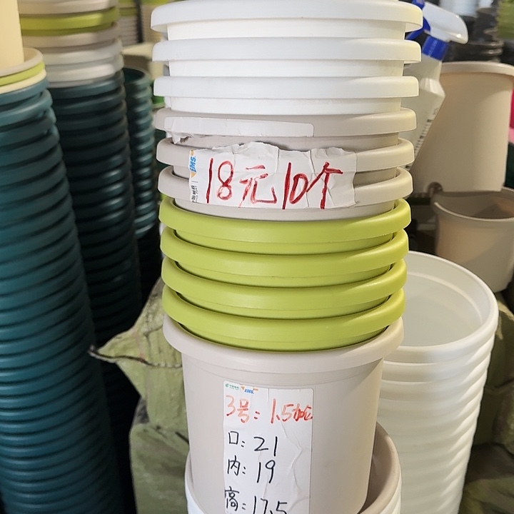 四季3#口径21白色10个