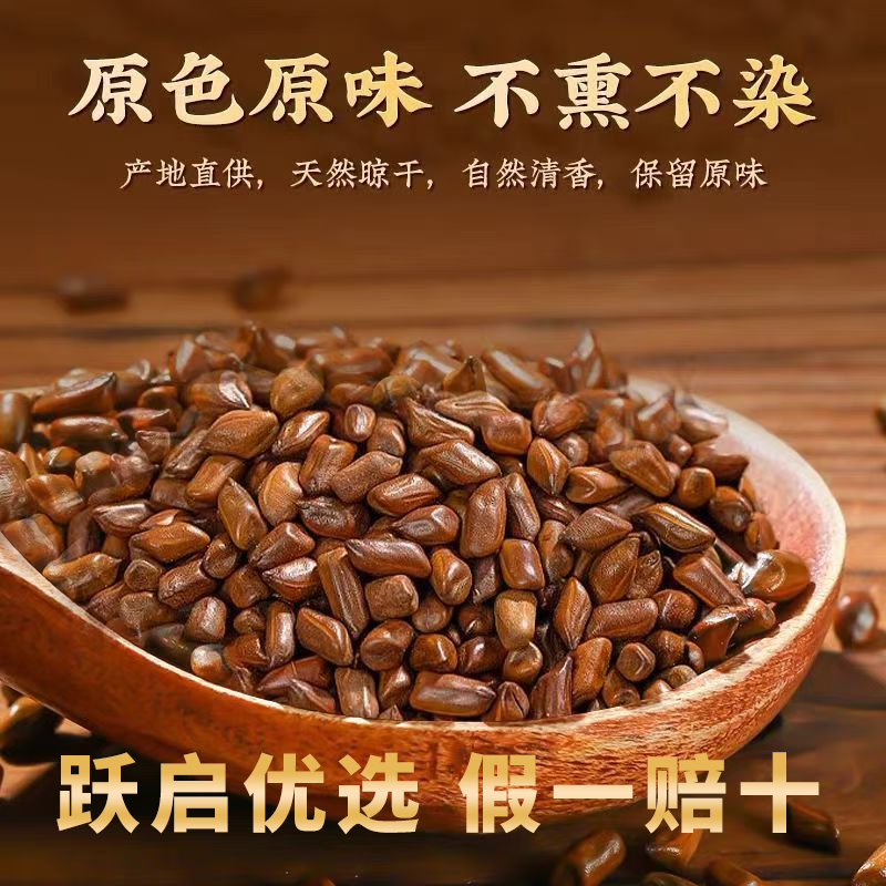 【净重】正宗宁夏炒决明子茶无任何添加炒熟决明子泡水泡茶罐装袋装