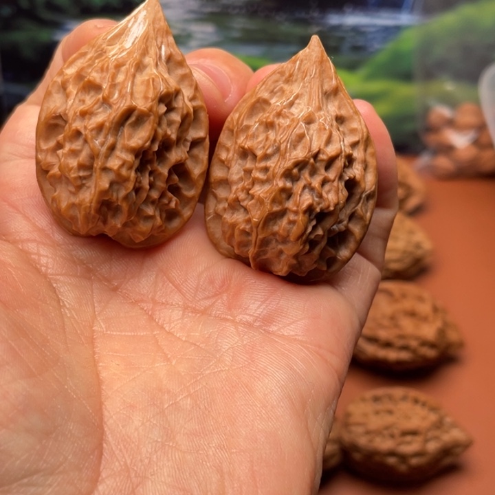 爱***G核桃秦时明月的故事是什么呢