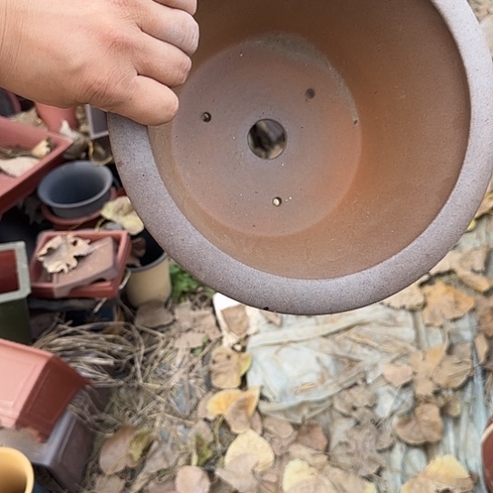 不说算什么呀亲爱的在那你干吧明天