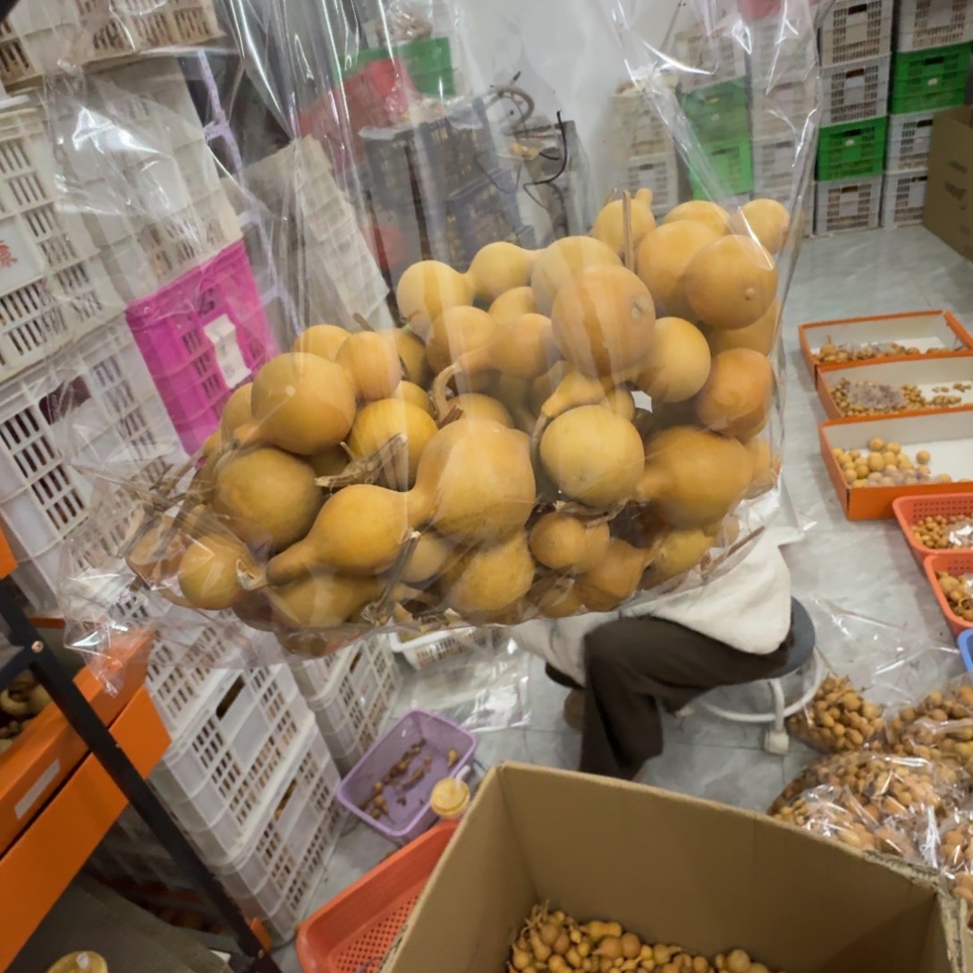 修***呀葫芦1111111111111