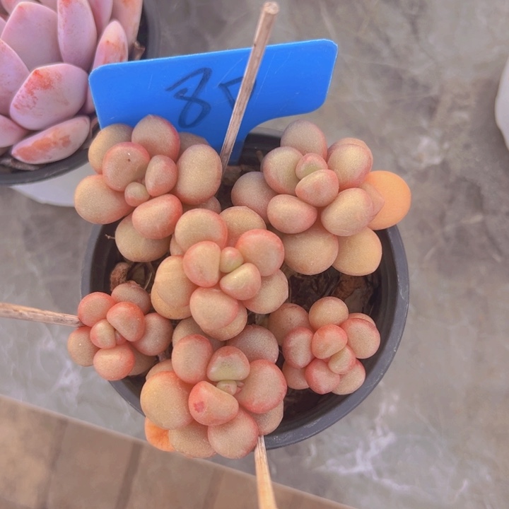 健健康康平平安安