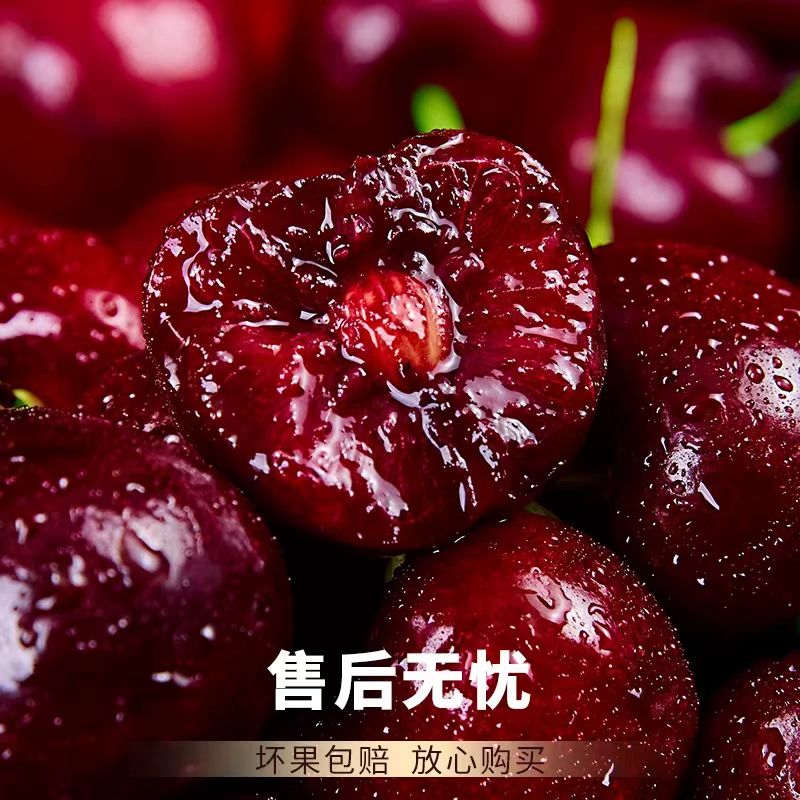 智利空运车厘子5斤XJ-4J内附果径卡当季新鲜水果樱桃顺丰包邮