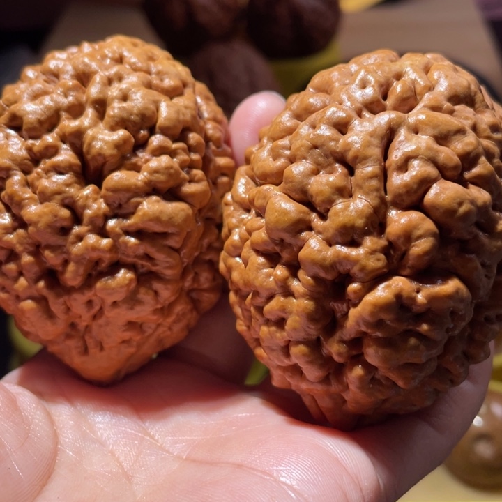 桃核把件疙瘩龙金刚菩提