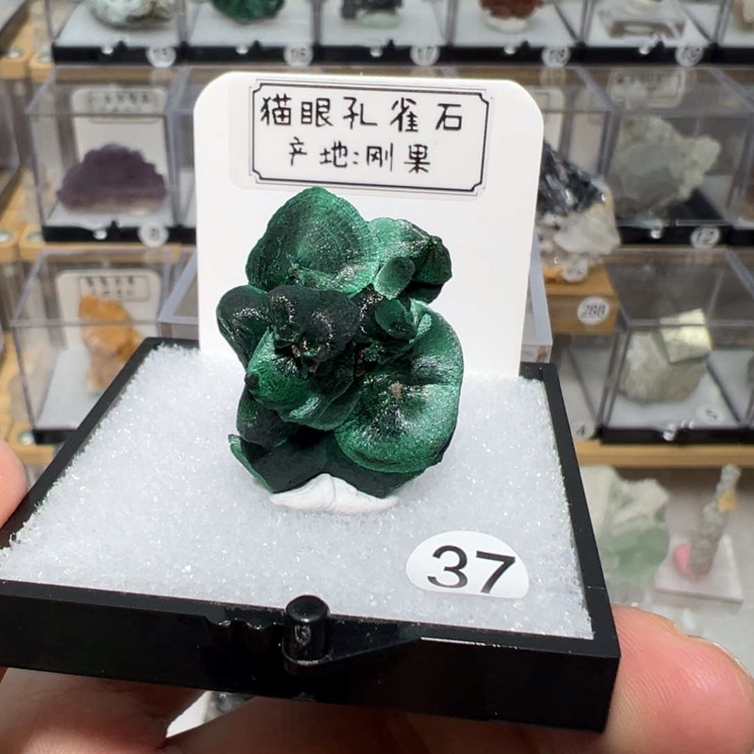 紫晶银S925镶嵌大型摆件（非配饰）