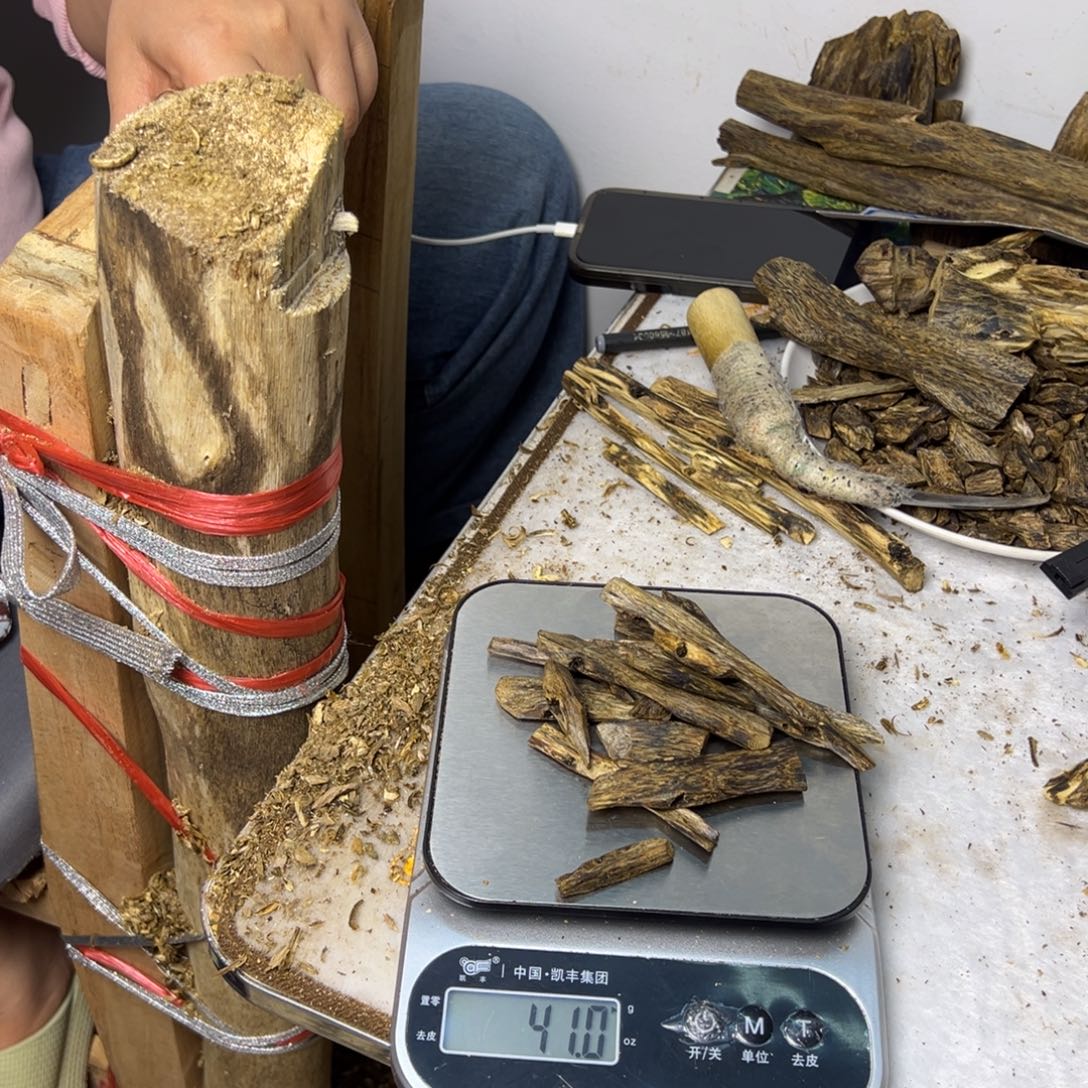 线香奇楠虫漏香40克