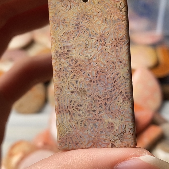 丹***日硅化珊瑚未镶嵌颈饰