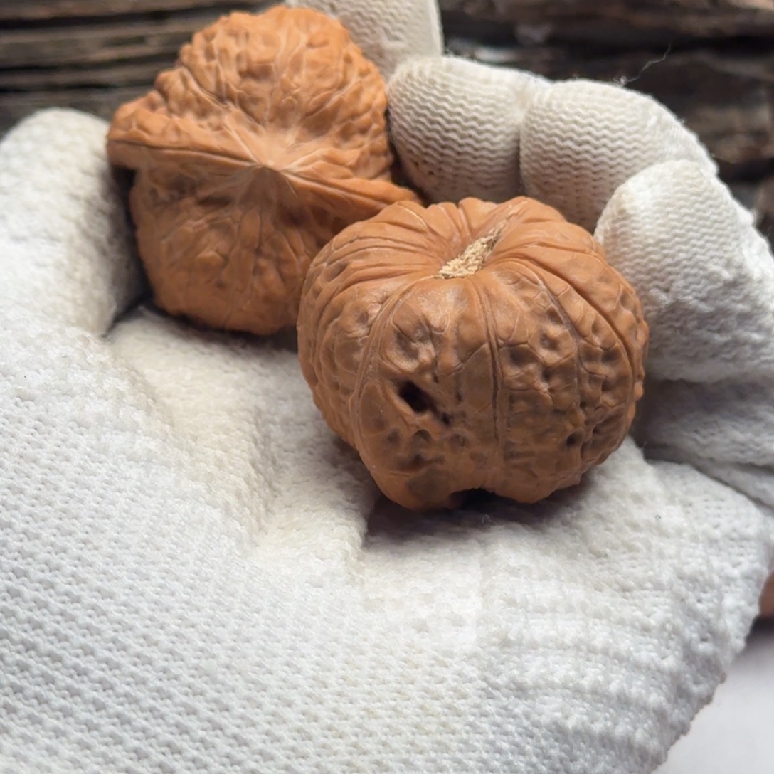 吊坠文玩核桃88888888