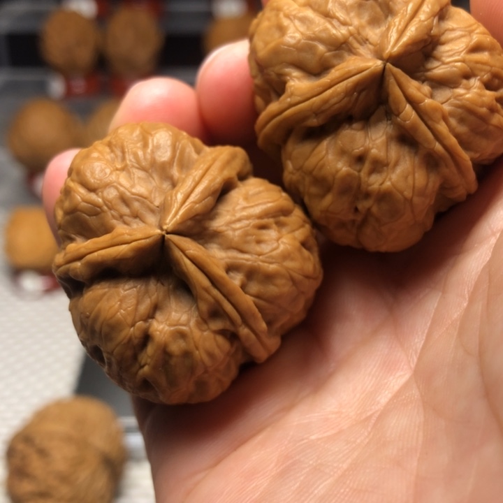 把件文玩核桃16铁三棱