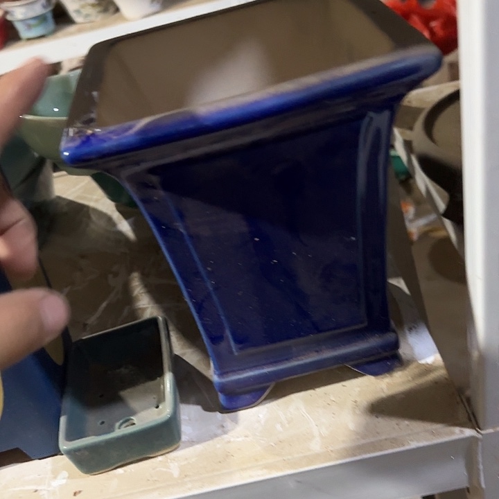 这一期太有意思咯好棒哦真的超级不错呀这个好