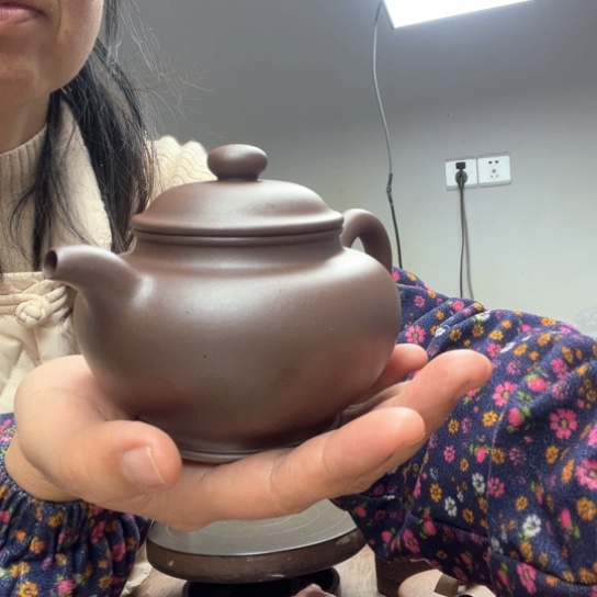 紫砂茶壶忠泥料底槽清