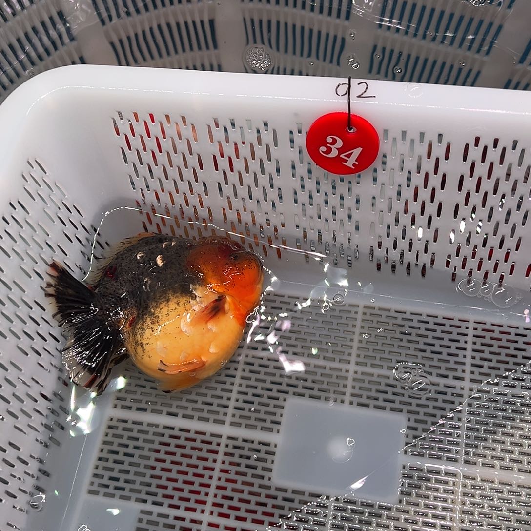 F***n抖音上的小伙伴们都在说我的