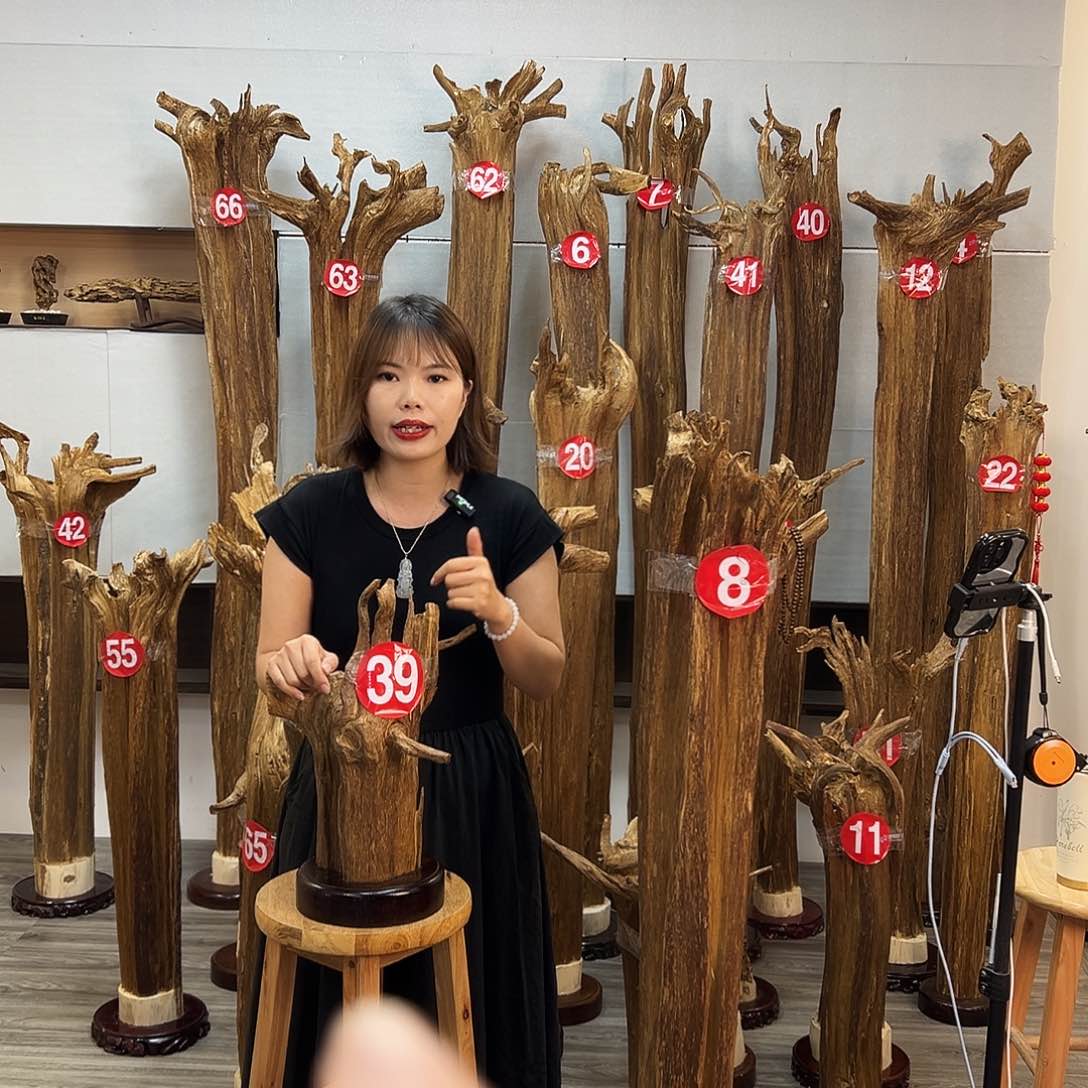 摆件沉香沉香摆件