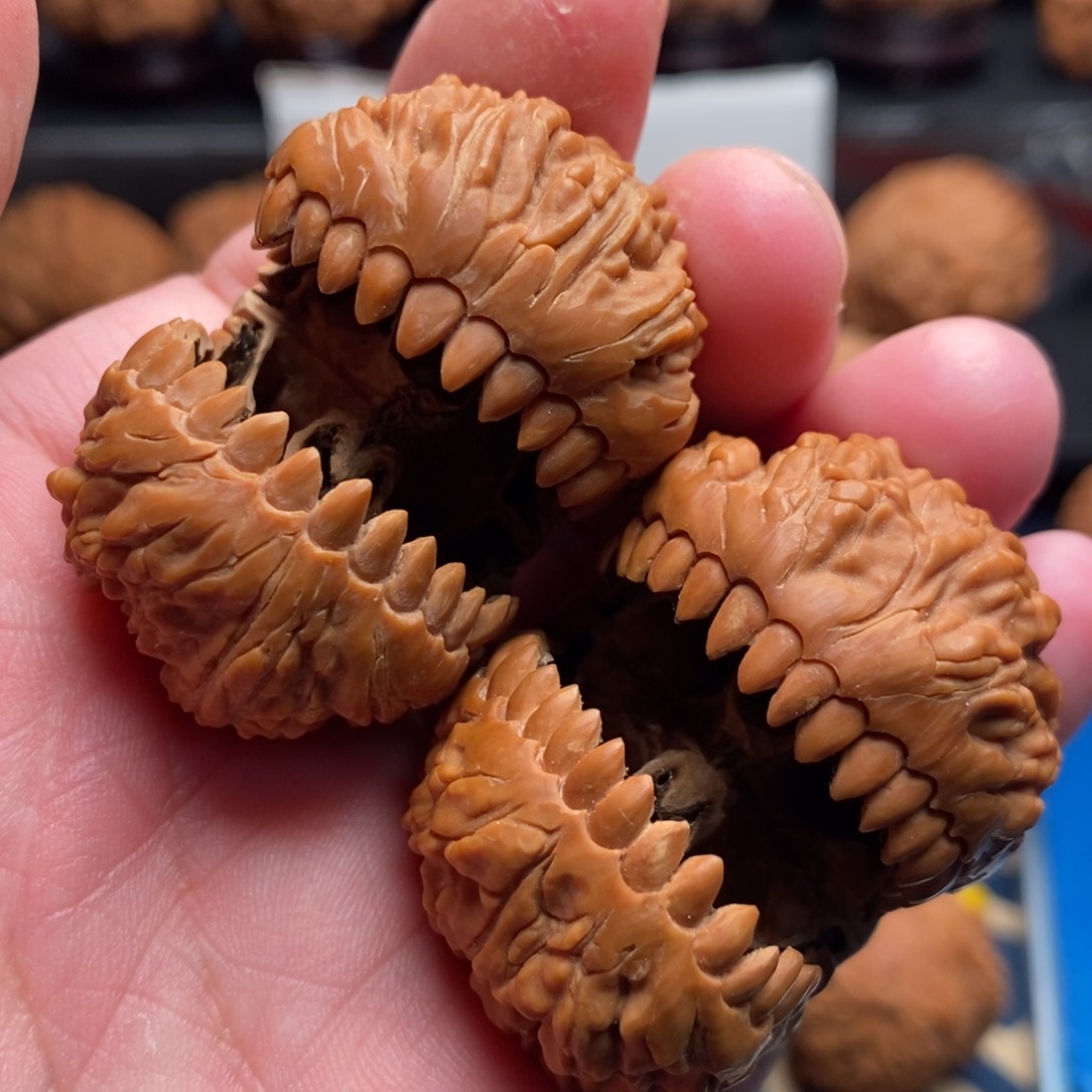 文玩核桃把件45恐龙头