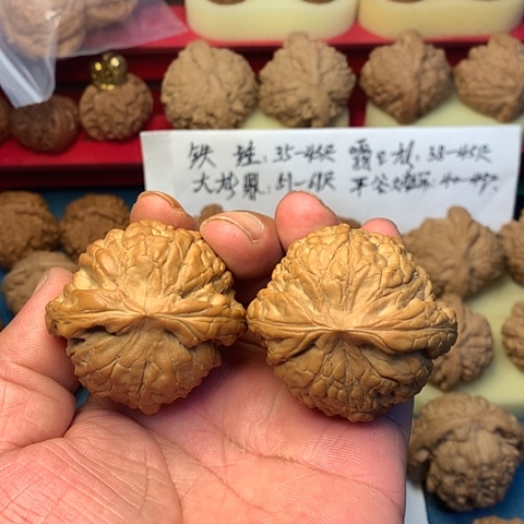 把件文玩核桃51尺大龙鼎