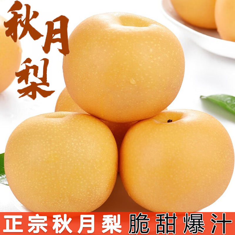 正宗山东莱阳秋月梨3斤装新鲜水果皮薄脆甜多汁应季水果SY