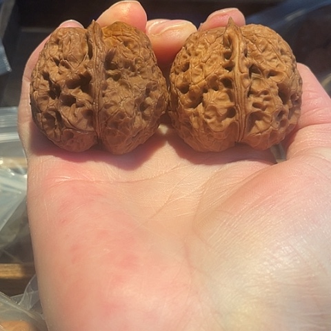 文玩核桃把件老太湖带彩42+