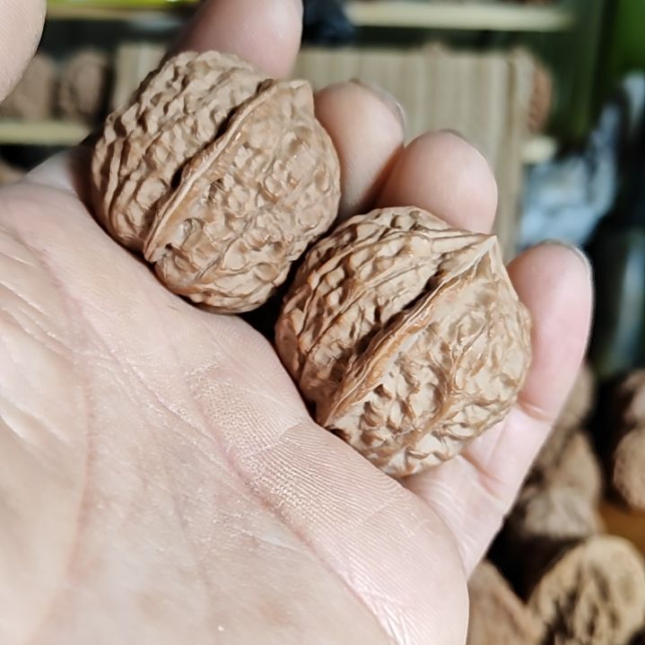 35加尺，无名野生小众