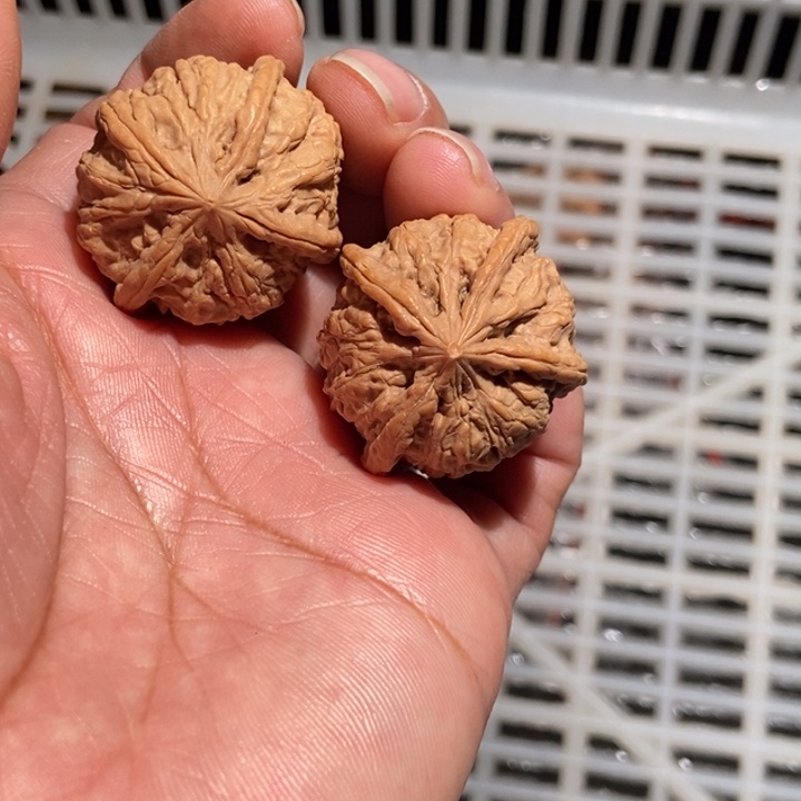 东***出核桃雨花石四棱尺寸33全品