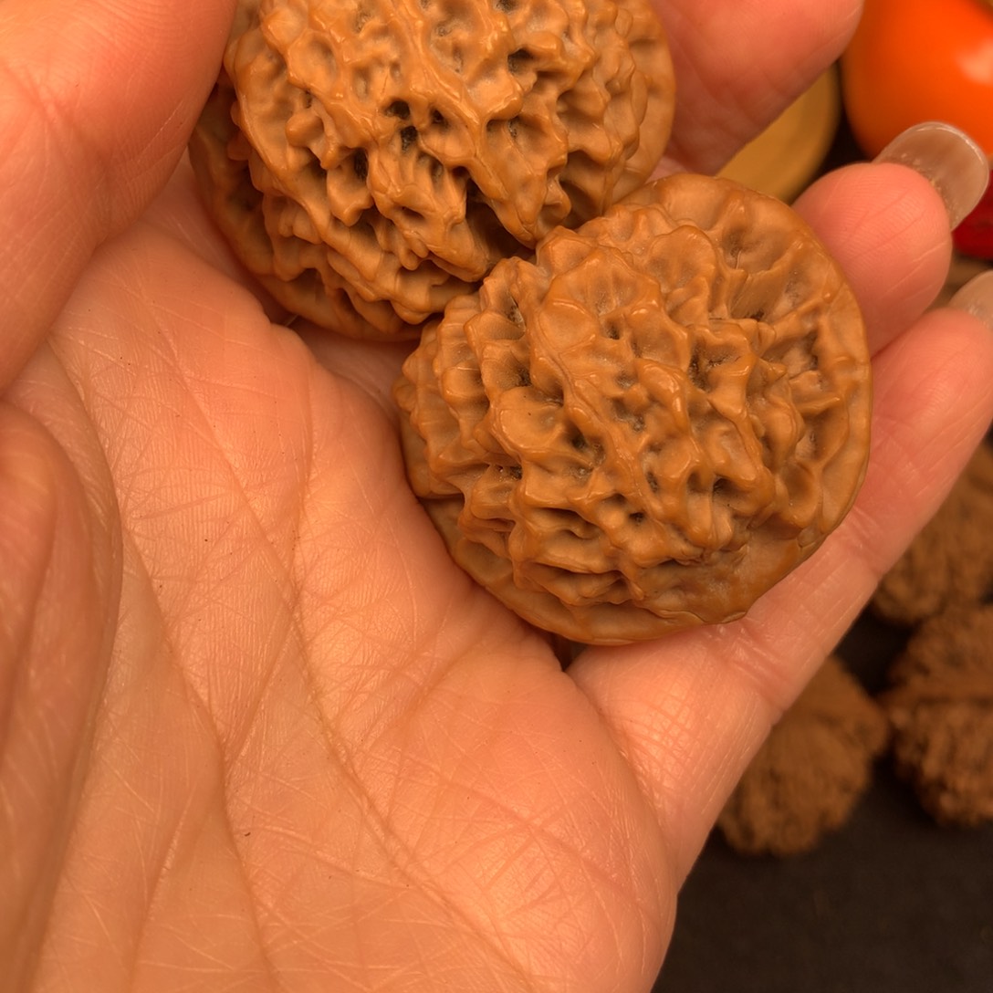 ?****?秦岭南北风雨中有